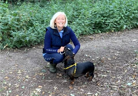Dog Walking