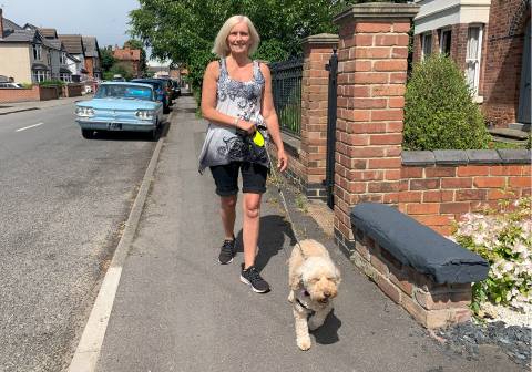 Dog Walking